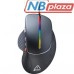 Мишка Canyon Apstar USB Black (CND-SGM12RGB) Мишка Canyon Apstar USB Black (CND-SGM12RGB)