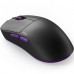 Мишка Dark Project Novus Pro Wireless Black (DPP_Novus_PRO_BB)