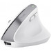 Мишка Trust Bayo+ Ergonomic Wireless/Bluetooth White (25399)