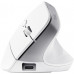 Мишка Trust Bayo+ Ergonomic Wireless/Bluetooth White (25399)