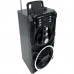 Акустична система Media-Tech Boombox BT 18W Black (MT3150)