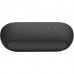 Акустична система Harman Kardon Luna 2 Black (HKLUNA2BLKEU)