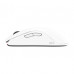 Мишка Zowie FK2DW Wireless White (9H.N4MBE.A3E) Мишка Zowie FK2DW Wireless White (9H.N4MBE.A3E)
