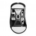 Мишка Pulsar Xlite Crazylight Medium 8К Wireless Black (PXLCL201)
