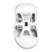 Мишка Pulsar Xlite Crazylight Medium 8К Wireless White (PXLCL202)