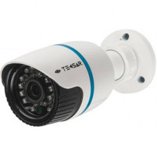 Камера видеонаблюдения Tecsar IPW-2M-20F-poe (6235)
